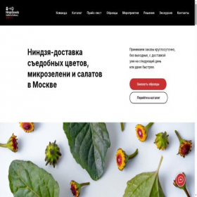 Скриншот главной страницы сайта goods.ninja