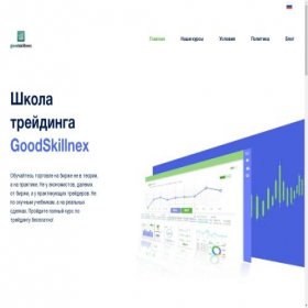 Скриншот главной страницы сайта goodskillnex.com