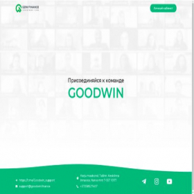 Скриншот главной страницы сайта goodwin.finance