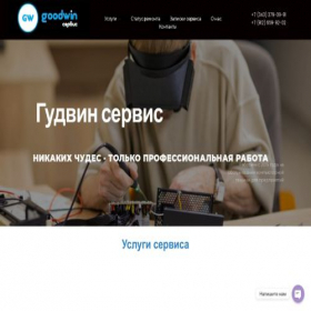 Скриншот главной страницы сайта goodwin96.ru