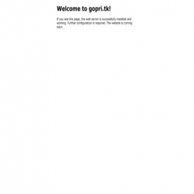 Скриншот главной страницы сайта gopri.tk