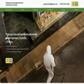 Скриншот главной страницы сайта gordss-omsk.ru