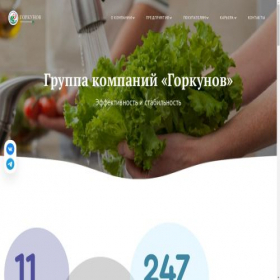 Скриншот главной страницы сайта gorkunov.com