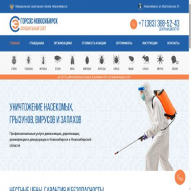 Скриншот главной страницы сайта gorsesnsk.ru