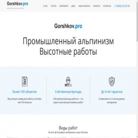 Скриншот главной страницы сайта gorshkov.pro