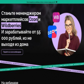 Скриншот главной страницы сайта goseller.work