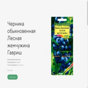 Скриншот главной страницы сайта gosontora.ru