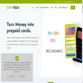 Скриншот главной страницы сайта gpaynow.com