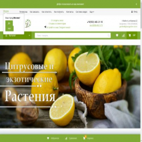 Скриншот главной страницы сайта gracegarden.store
