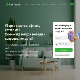 Скриншот главной страницы сайта grass-cleaning.ru