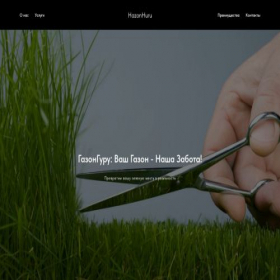 Скриншот главной страницы сайта greengrassguru.ru