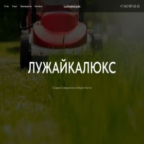 Скриншот главной страницы сайта greenlawnsluxury.ru