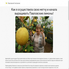 Скриншот главной страницы сайта greenoasis-limon.ru