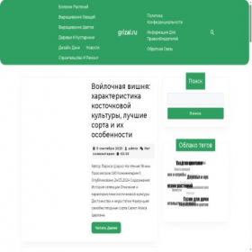 Скриншот главной страницы сайта grizal.ru