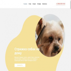 Скриншот главной страницы сайта groomerskaya.ru