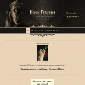 Скриншот главной страницы сайта groompet.ru