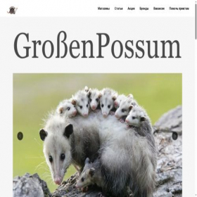 Скриншот главной страницы сайта grossenpossum.tilda.ws
