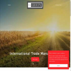 Скриншот главной страницы сайта groupxllc.com