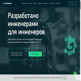 Скриншот главной страницы сайта grunbaum.ru
