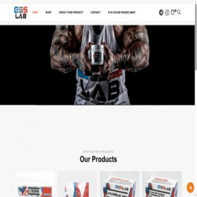 Скриншот главной страницы сайта gssteroids.com