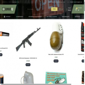 Скриншот главной страницы сайта gunmart24.ru