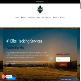Скриншот главной страницы сайта hacker-for-hire.io