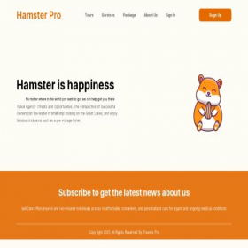 Скриншот главной страницы сайта hamstercombat.pw