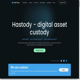 Скриншот главной страницы сайта hastody.com
