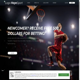 Скриншот главной страницы сайта hayesport.com