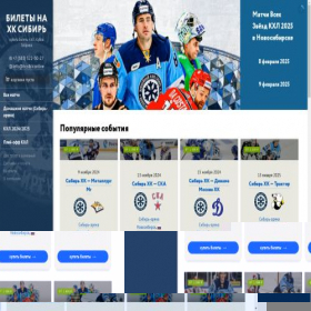 Скриншот главной страницы сайта hcsibir.online