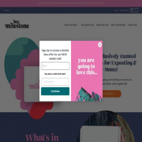 Скриншот главной страницы сайта heymilestone.com