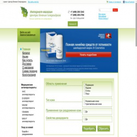 Скриншот главной страницы сайта hh-store.ru