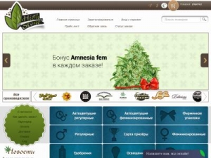 Скриншот главной страницы сайта high-stone.net