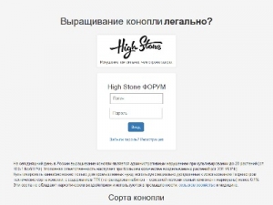 Скриншот главной страницы сайта high-stone.pro
