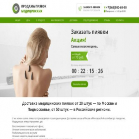 Скриншот главной страницы сайта hirudomarket.ru