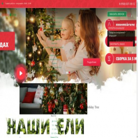 Скриншот главной страницы сайта holidaytree.ru