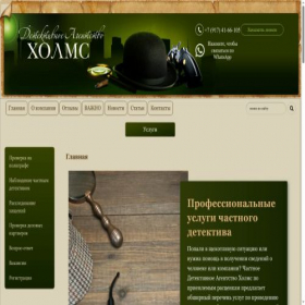 Скриншот главной страницы сайта holmss.ru