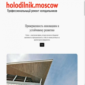 Скриншот главной страницы сайта holodilnik.moscow