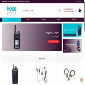 Скриншот главной страницы сайта holse-group.ru