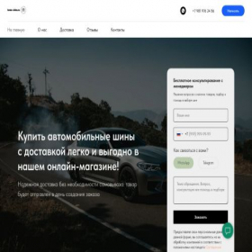 Скриншот главной страницы сайта home-shins.ru