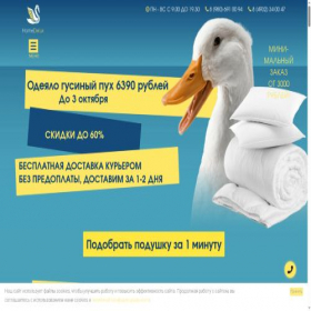 Скриншот главной страницы сайта homedelux.site