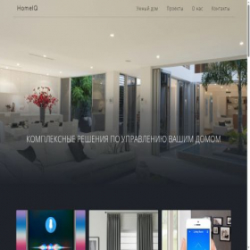 Скриншот главной страницы сайта homeiq.ru