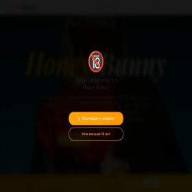 Скриншот главной страницы сайта honey-bunny.org