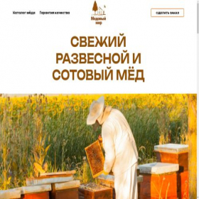 Скриншот главной страницы сайта honey-shopping.ru
