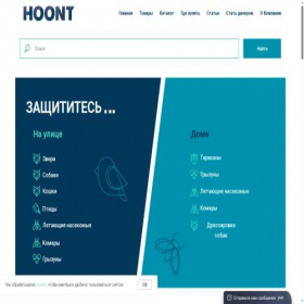 Скриншот главной страницы сайта hoontrus.ru