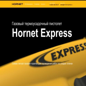 Скриншот главной страницы сайта hornet-express.ru