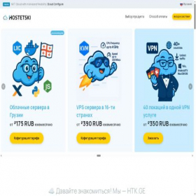 Скриншот главной страницы сайта hostetski.ru