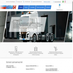 Скриншот главной страницы сайта howo54.ru