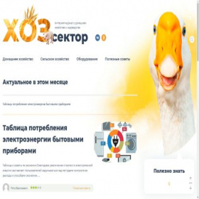 Скриншот главной страницы сайта hozsektor.ru