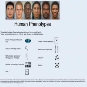 Скриншот главной страницы сайта humanphenotypes.net